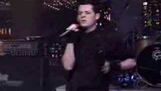 Good Charlotte  Young amp Hopeless live [upl. by Ramad256]