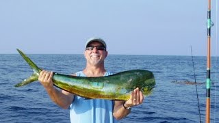 Fishing Kelp Paddy Dorado  The Reel Brothers Presents Fishing San Diego [upl. by Frederica]