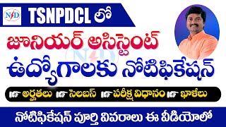 TSNPDCL Junior Assistant Notification 2023  Eligibility Vacancy Syllabus Exam pattern details [upl. by Ainoz]