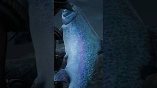 Red Redemption 2 Legendary fish Steelhead Trout reels rdr2 reddeadredemtion2 [upl. by Albarran262]