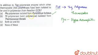 In addition to Taq polymerase enzyme which other thermostable DNA polymerases have [upl. by Nellak]