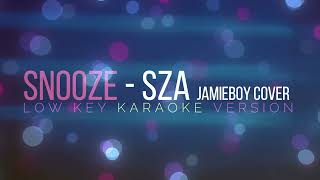 SNOOZE  SZA JAMIEBOY cover Low Key Karaoke version [upl. by Maure54]