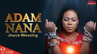 Joyce Blessing  Adam Nana Official Video [upl. by Gide]