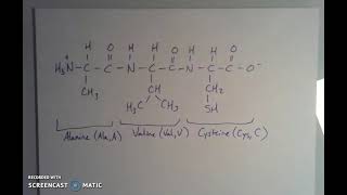 Peptide Bonds and Naming Amino Acid Sequences [upl. by Owena]