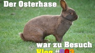 Der Osterhase war da Dragans Vlog 003 [upl. by Gnos]