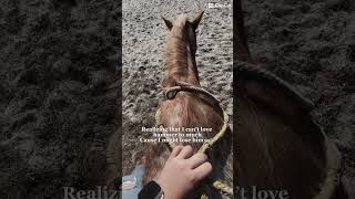 p channelpages horse horsecommunity horseenthusiast blowup viralvideo sad shortsfeed [upl. by Eimmaj528]