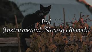 Roi InstrumentalSlowedReverb [upl. by Lauri]