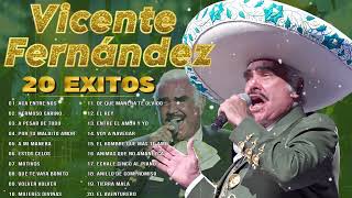 ICENTE FERNÁNDEZ MIX ROMANTICAS VIEJITAS PARA ADOLORIDOS  LO MEJOR DE VICENTE FERNÁNDEZ [upl. by Ayojal693]