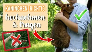 Kaninchen richtig HOCHNEHMEN amp TRAGEN  So gehts ✔🐰  Kaninchenstar [upl. by Xever]