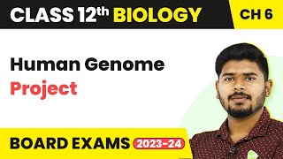 Human Genome Project  Molecular Basis of Inheritance  Class 12 Biology 202223 [upl. by Aloel]