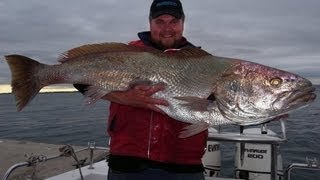 Mulloway Jewfish Fishing  Goliath to 60lb  Western Port [upl. by Hauger68]