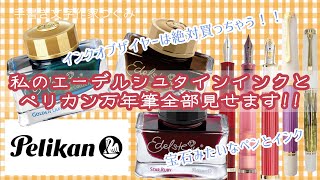 私のペリカン万年筆とエーデルシュタインインクMy Pelikan Fountain Pens And Edelstein Inks [upl. by Aivitnahs]