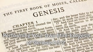 Performing Your Own MiniExegesis on Genesis 1 [upl. by Atrim962]