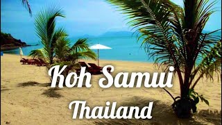 Koh Samui Thailand VLog part 2 [upl. by Lemmie]