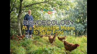 Agroecology As a Sustainable Means to Safer Food [upl. by Ardin473]