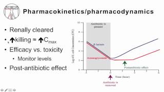 4 Aminoglycosides [upl. by Larue]