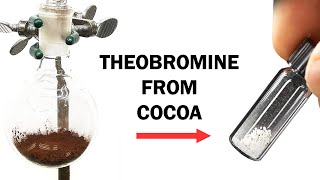 Extracting the theobromine from cocoa powder [upl. by Aserej]