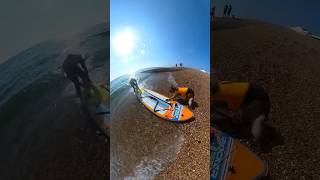 supboarding paddleboarding gsd dogswimming dogs dog brighton brightonbeach germanshepherd [upl. by Shotton]