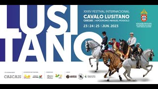 230624 FICL Resumo Provas de ET Maneabilidade  Highlights of the Working Equitation Agility trial [upl. by Laersi]