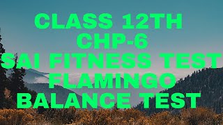 Class 12th Chp6 SAI Fitness Test Flamingo Test For Balance [upl. by Zielsdorf]