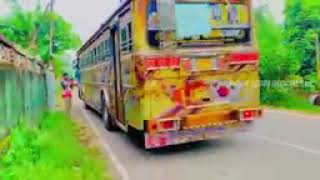 2024 mitudam charikawa bus video sadaruwan dj remix [upl. by Ednew654]