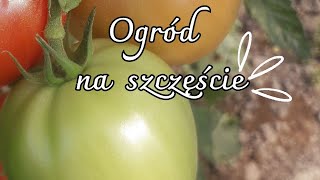 Ogród na szczęście [upl. by Namso]