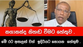 නගානන්දගෙන් හෙළිදරවු පෙළක්  Nagananda Kodituwakku [upl. by Nnaihs13]