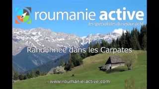 Randonnée dans les Carpates avec ROUMANIE ACTIVE [upl. by Gorlicki]