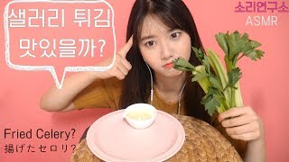 셀러리 튀기면 맛있을까소리연구소 ASMR샐러리 이팅사운드꿀꿀선아suna asmr한국어 asmr [upl. by Mariand797]