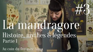 3  La mandragore histoire mythes amp légendes partie 1 [upl. by Orpha]