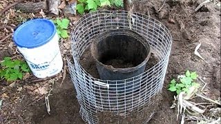 How to build a space saver compost bin with a wire cage [upl. by Natasha]