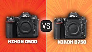 Nikon D500 vs Nikon D750 Which Camera Is Better With Ratings amp Sample Footage [upl. by Lexy]