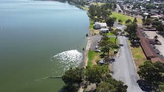 barmera lake bonney south australia [upl. by Sher]