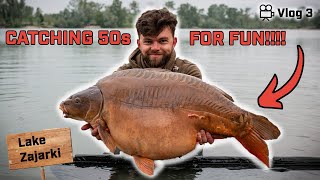 The NEW Spot only produced 50lbs  Carp 🤯  Lake Zajarki Vlog3 [upl. by Uaeb]