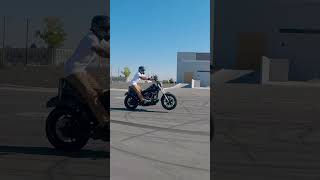 Wheelie Wednesday harley wheelie harleywheelies harleydavidson [upl. by Landri]