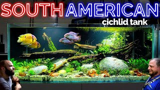 The South American Cichlid Aquarium EPIC 4ft Planted Tank Aquascape Tutorial [upl. by Oaks]