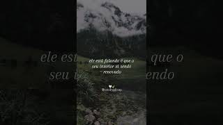 🤍🍃 palavradodia reflexão motivacional frasemotivacao frasesreflexao [upl. by Enaujed97]