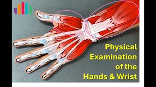 Rheumatology HAND amp WRIST Physical Examination FULL [upl. by Tsepmet802]