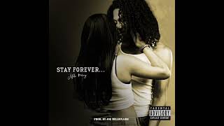 Mille Manny  Stay Forever Official Audio [upl. by Dobson]