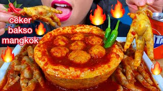 MAKAN CEKER BAKSO MANGKOK PEDAS SPICY BOWL MEATBALL CHICKEN FEET ASMR MASSIVE Eating Sounds [upl. by Shandeigh197]