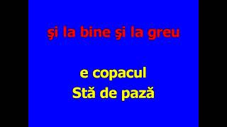 Copacul Karaoke Aurelian Andreescu [upl. by Larret]