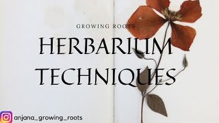 HERBARIUM TECHNIQUES amp PREPARATION  Malayalam Explanation  BSc Botany Zoology Plant Science [upl. by Liederman]