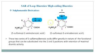 SAR of Loop Diuretics Sulphonamide Derivatives [upl. by Ahsuat]