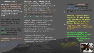 Little Boy Crying — Mervyn MORRIS Detailed Analysis and Video Annotation [upl. by Darwin359]