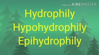 Pollination Hydrophily Hypohydrophily and Epihydrophily [upl. by Naesar]