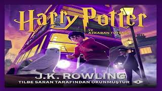 harry potter ve azkaban tutsağı 16bölüm professor trelawneynin kehaneti sesli kitap [upl. by Yerffej]