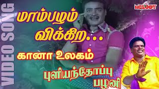 கானா பாடல்கள்  புளியந்தோப்பு பழனி Maambazham Vikkira  Gana Song Pullianthopu Palani  Gana Padal [upl. by Arrik748]