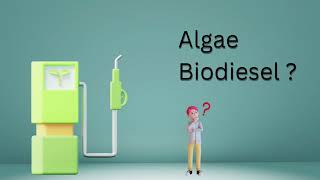 What is Algae Biodiesel  How to make algae biodiesel [upl. by Elleirad245]