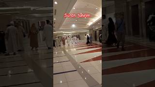 Surah tahrim quran urdu translate  makkah ytshorts birds love viralvideo mubarak viralvideo [upl. by Thury]