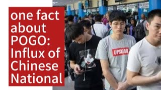 1 Fact About POGO Scatter Influx Of Chinese National [upl. by Livy]